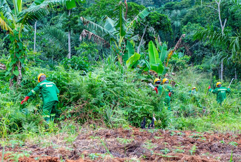 AB AGRI Perform sur le terrain