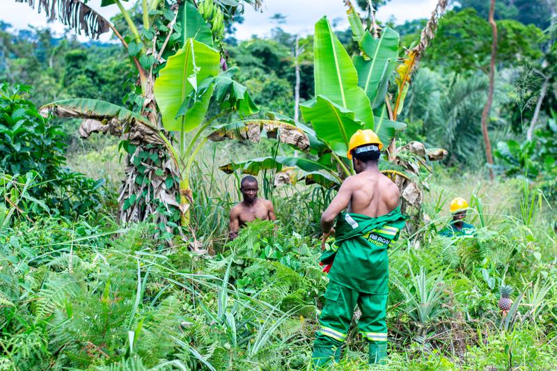 AB AGRI Perform sur le terrain